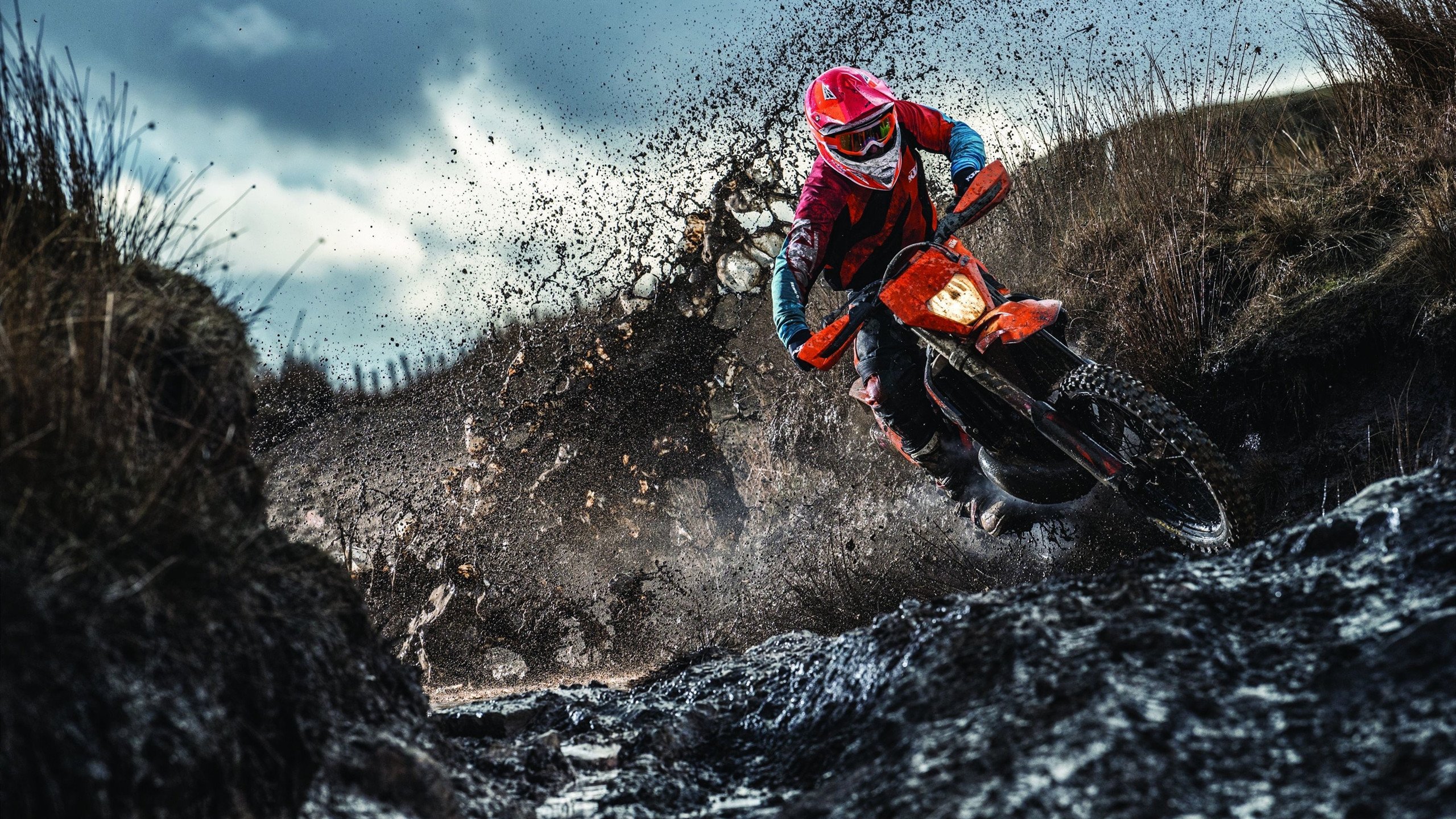 PSG.LGD主教练专访谈未来，lgd战队主教练